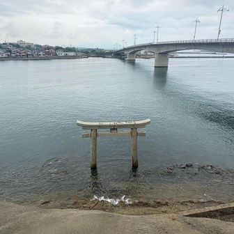 海辺に鳥居⛩️
脇にはなみかけ大橋
