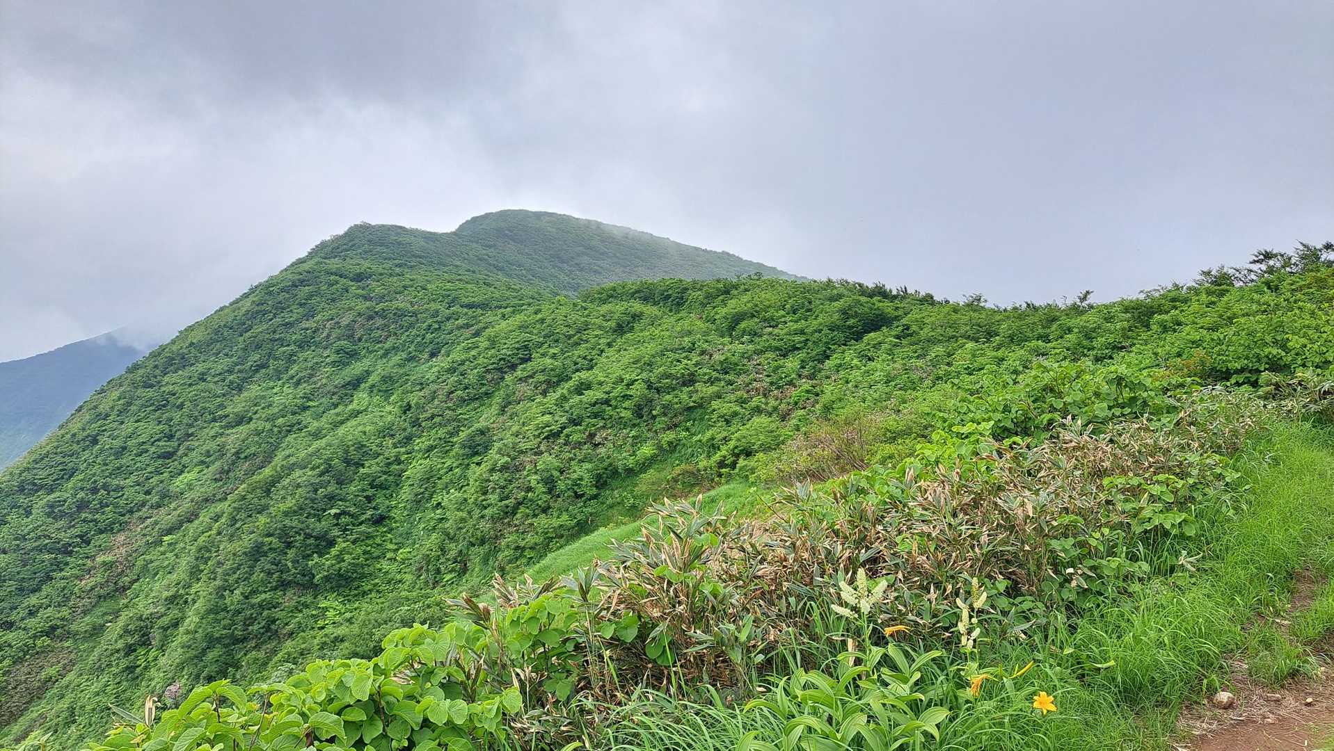 　青雲岳を見晴らす登山道脇の岩に腰かけて暫し休憩。
　霧が周囲を覆ってくれるとかなり涼しくなります。