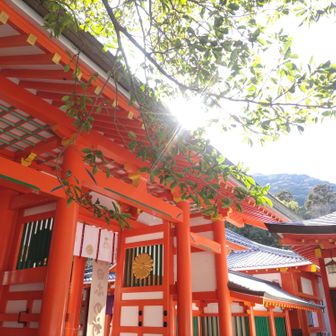 ここの社殿は美しい