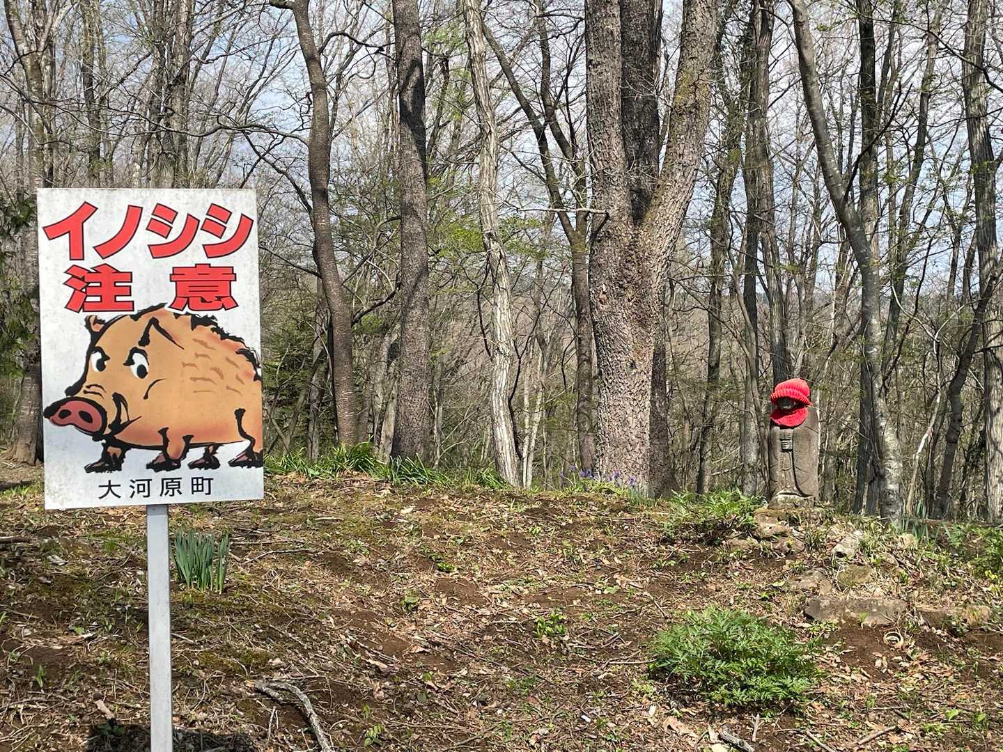 お地蔵様🙏