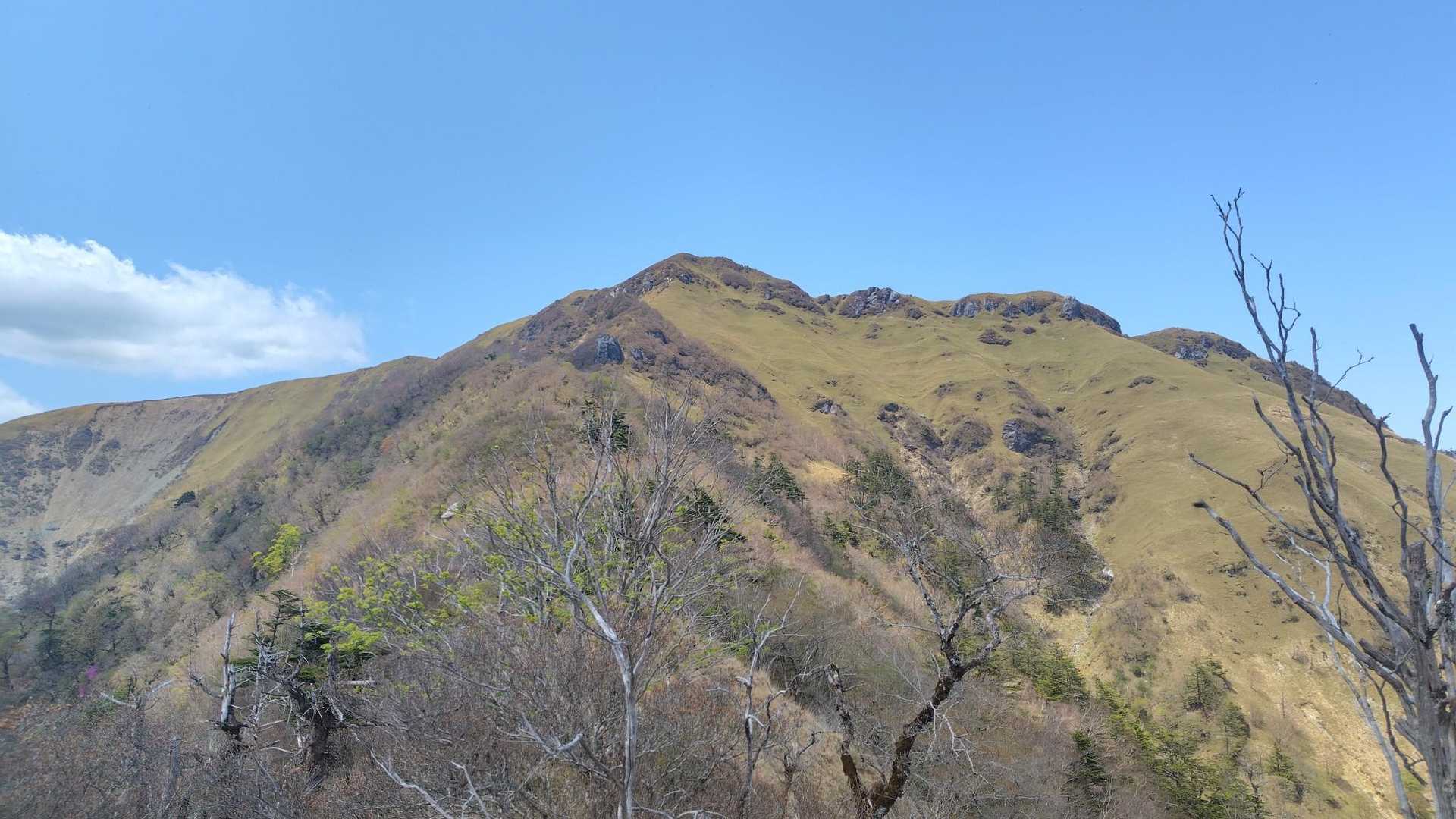 三嶺までラスト急登🦵🦵