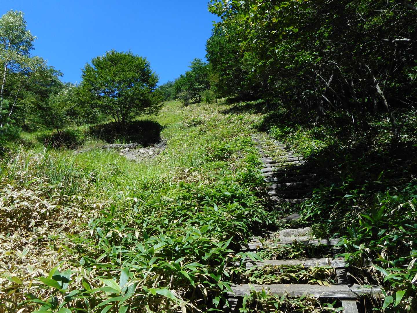 階段を登ります