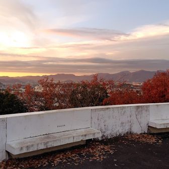 的場山方面☺️✨