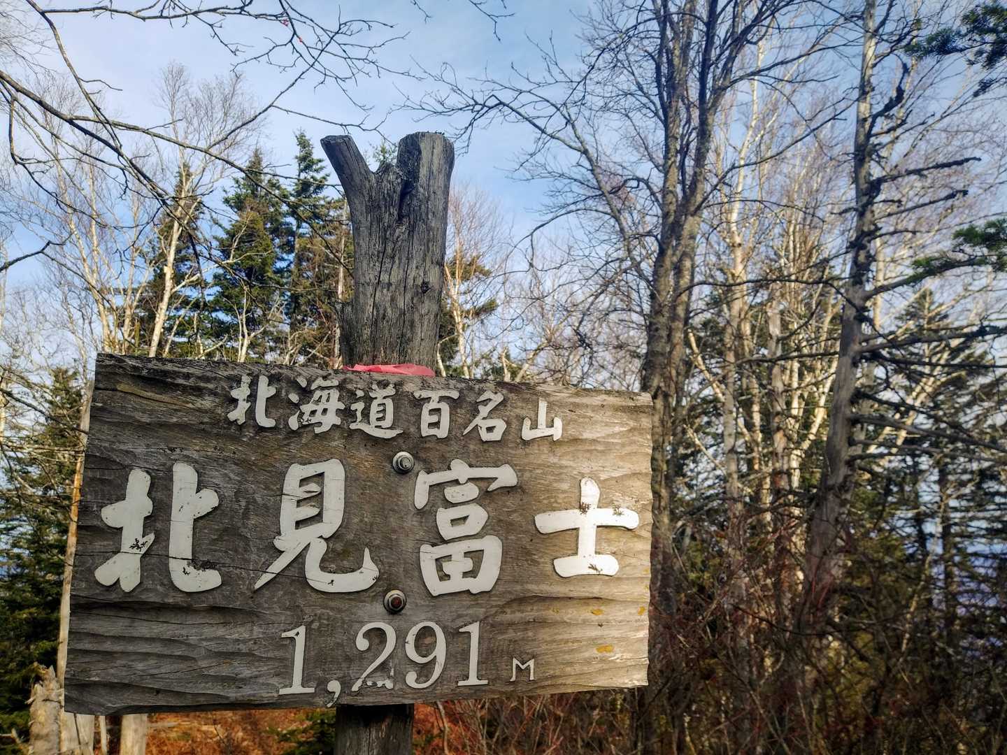 立派な山頂標識
眺望がないので、西側へ移動します