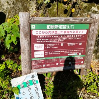 お疲れ様でした。
