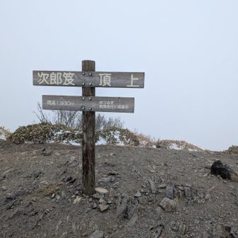 副将、次郎笈
下の方は雪が少なく楽勝だったがトラバース分岐から先がしんどい。視界もないです。