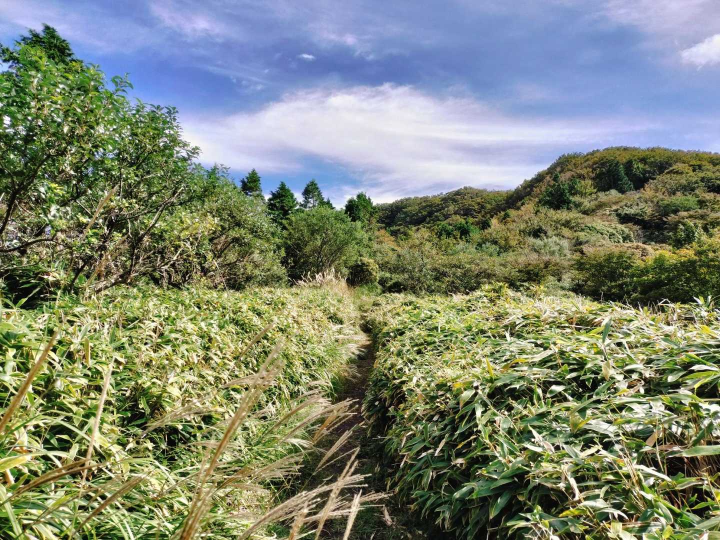 清栄山に比べたら風もあって🍃涼しい