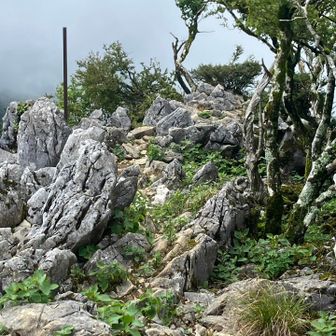 まだまだ岩岩