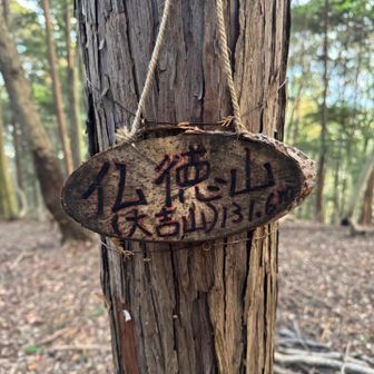 山頂到着⛰️131メートル。めっちゃ低山⛰️