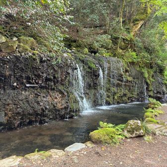 千条の滝。伏流水の滝です。

小さな滝ですが風情があります。
