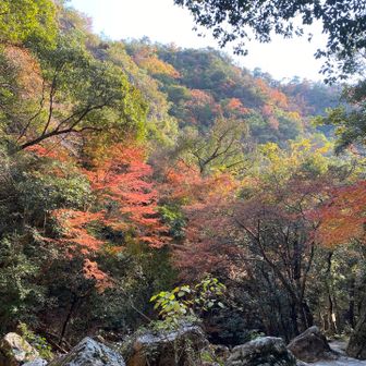 紅葉がまだ残っていました