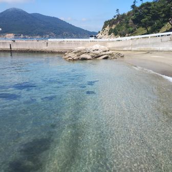 メチャ綺麗！✨向かいには、東北のハワイの！網地島あり！😍