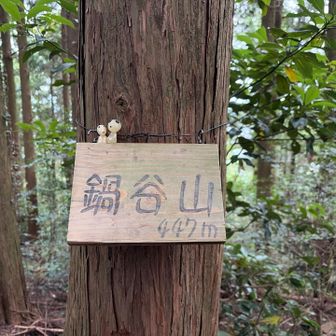 ３座目鍋谷山⛰️こちらも展望なし。