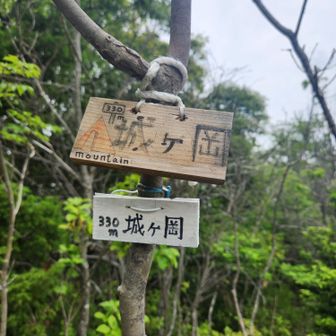 最後のピーク城ケ岡
