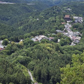 金峯山寺蔵王堂が見える