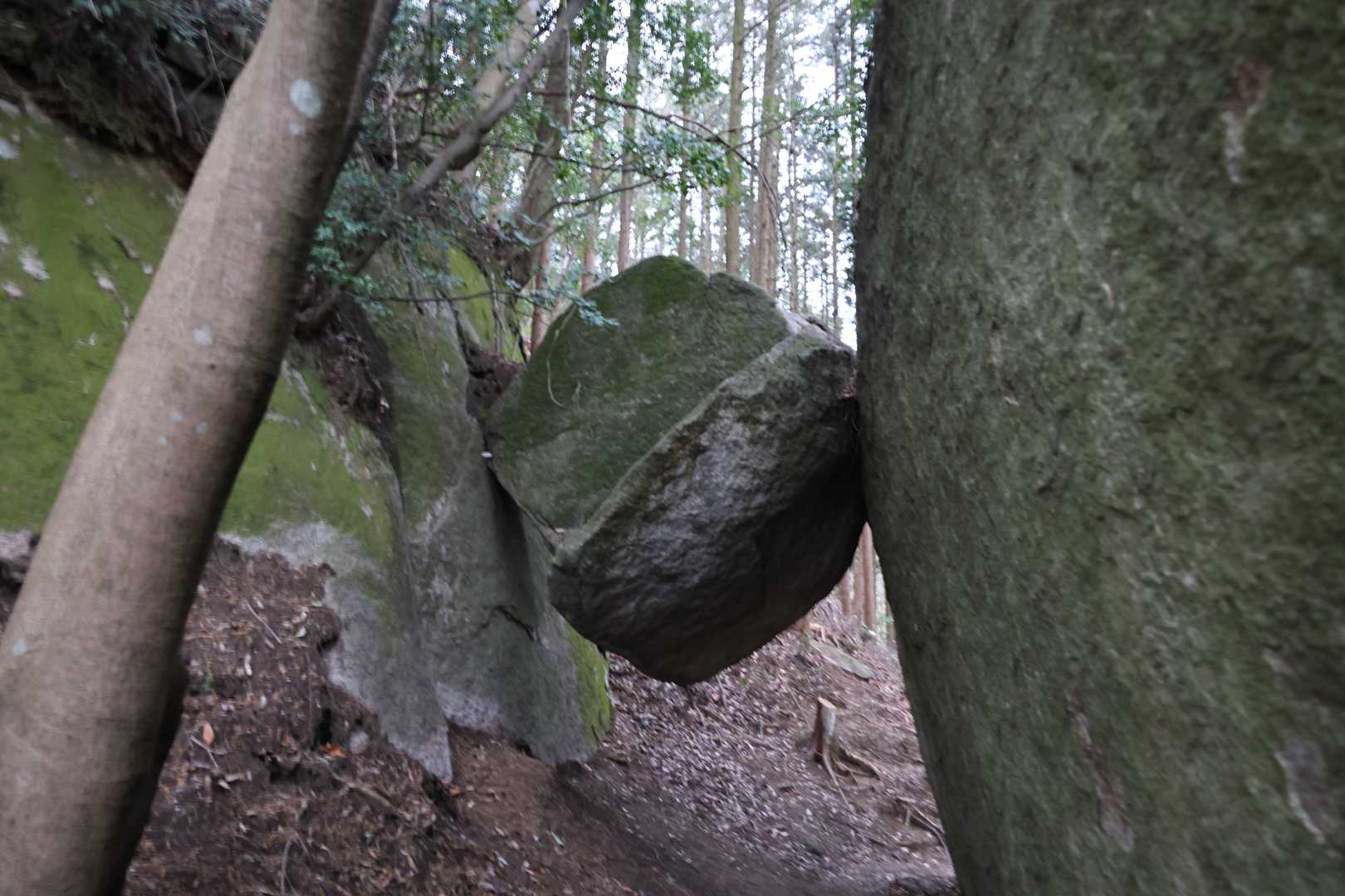 岩石山 往復コースの写真