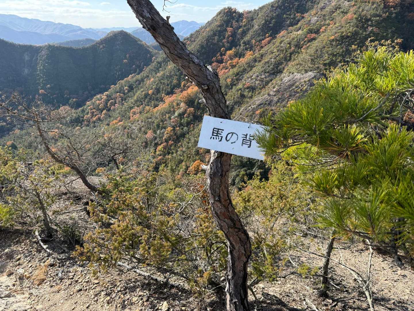 和気駅-和気富士-観音山-穂高山-神ノ上山 周回コースの写真