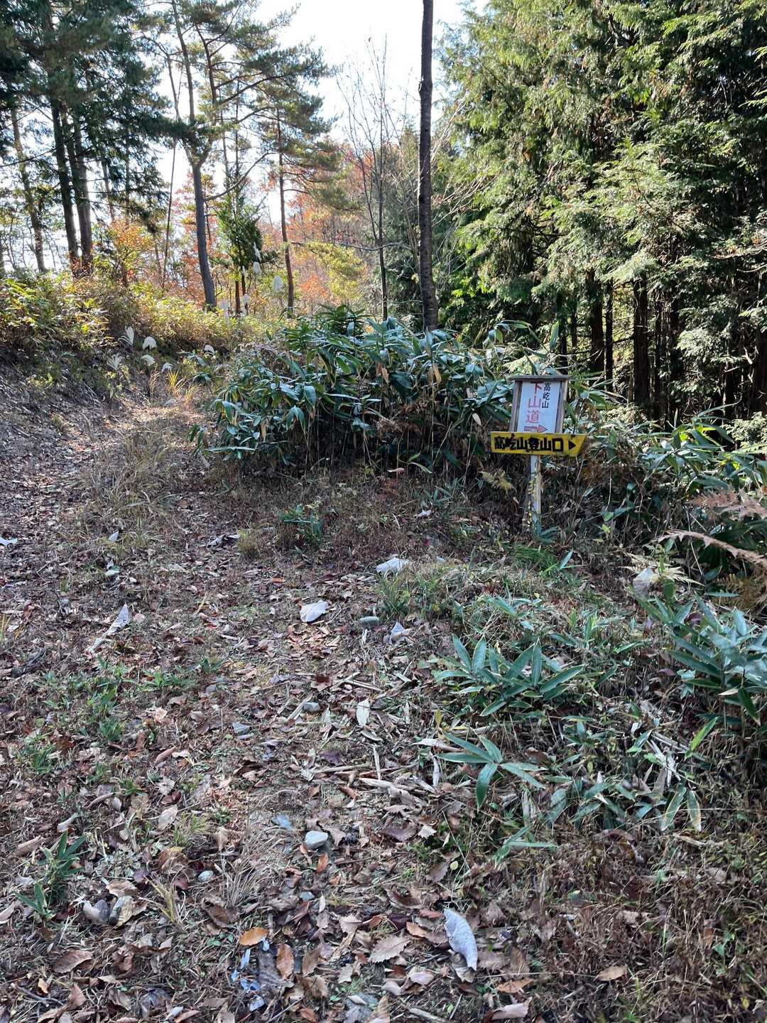 林道出合