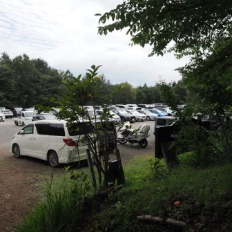 第一駐車場はほぼ満車