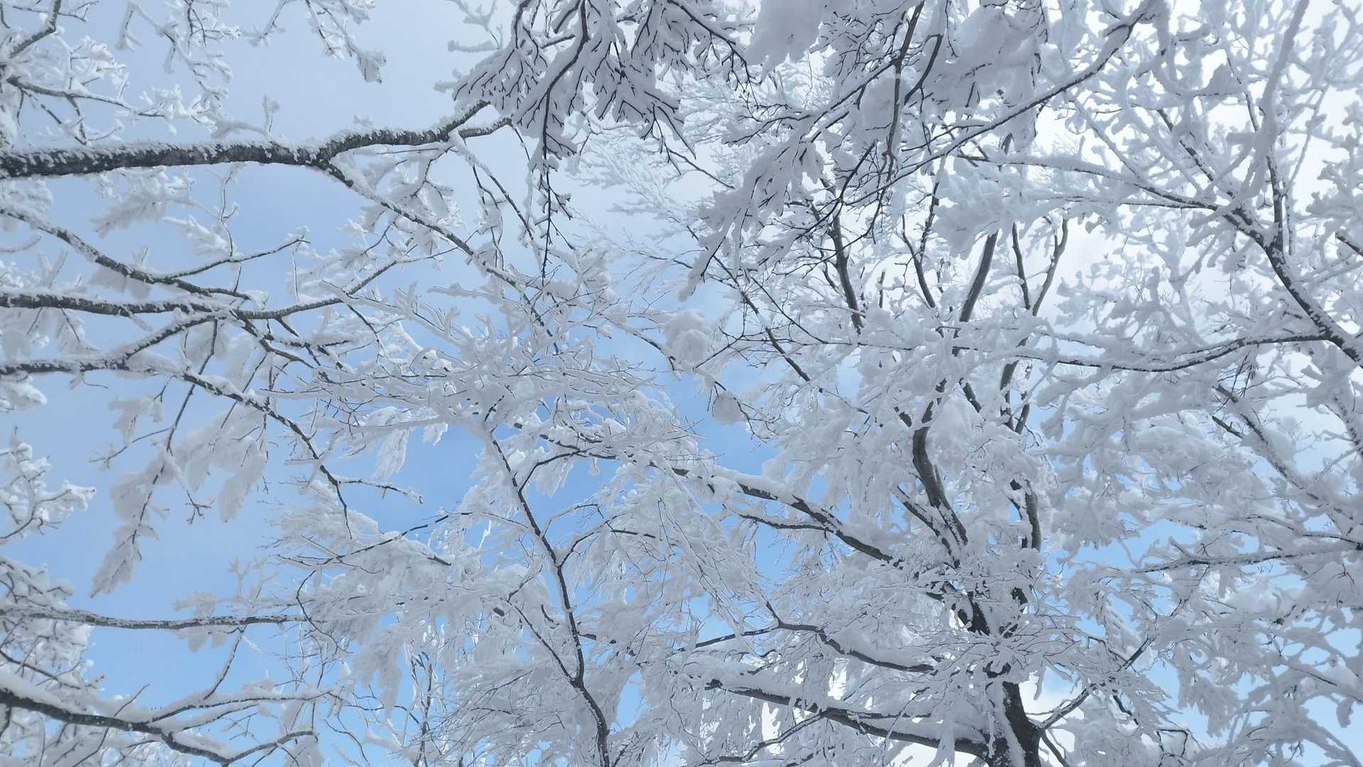 青空がとてもキレイで達成感半端なかったです。