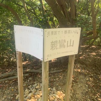 いつもの標識