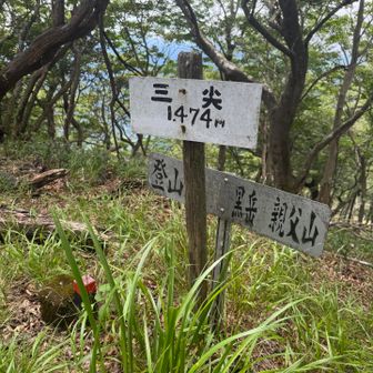 この先の下りはキツかった