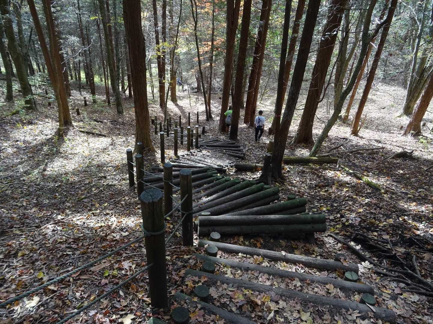 土が抜けてて歩きづらい階段