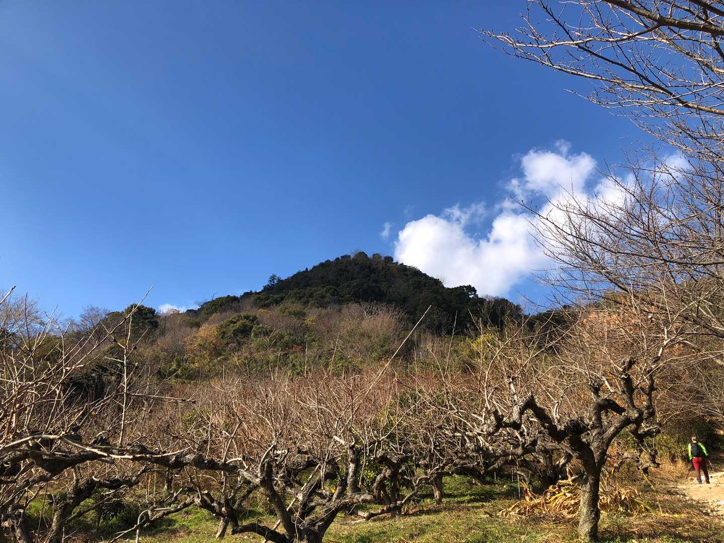 いつもの南登山口、登り始め駐車場ガラガラ😁