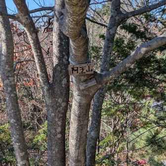 ⑦　あれ？数合わない