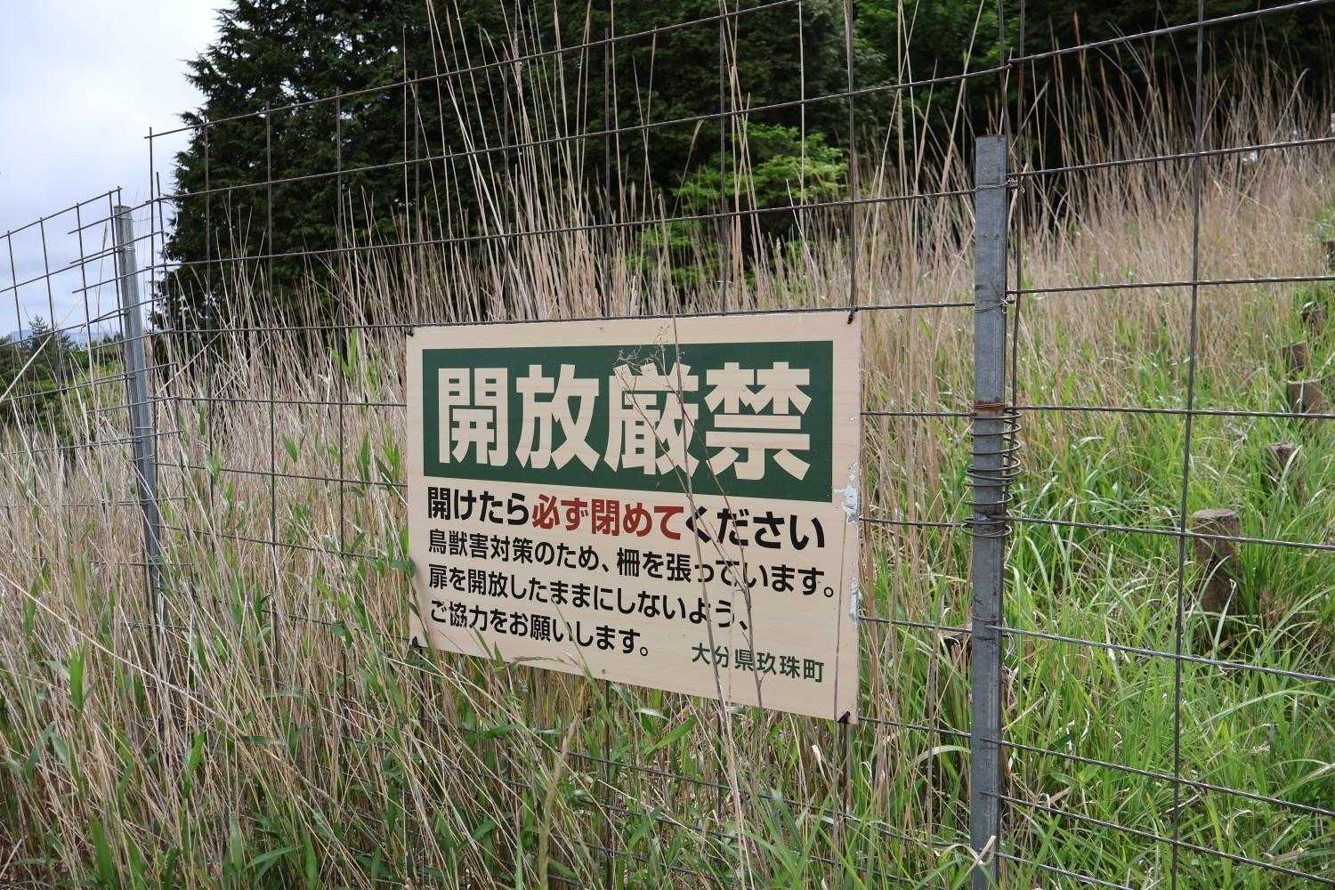 怒られますよ🙋！
