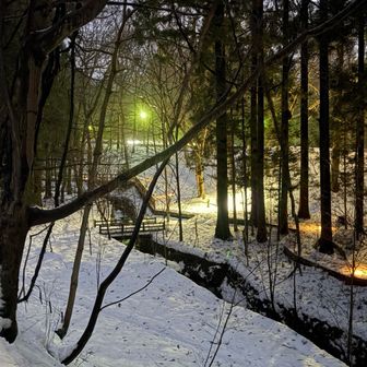 円山を登る途中から見える、ライトアップの雰囲気が良いね〜