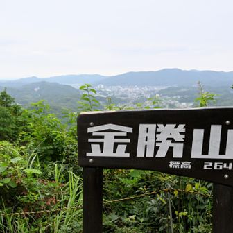 金勝山からの眺めは曇り