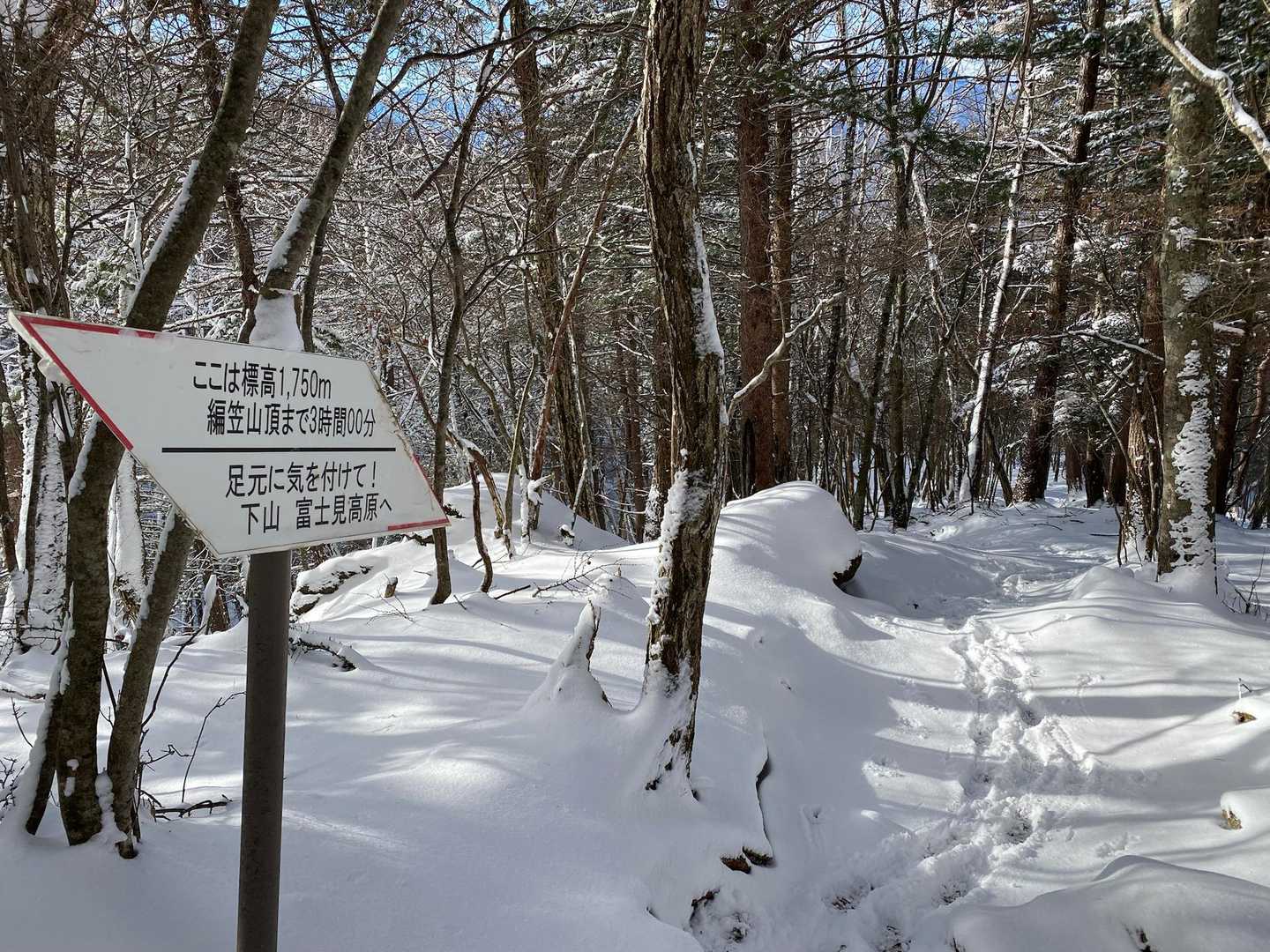 こんな看板いくつかあり
登って進んでるはずなのに3時間台から抜け出せない🪧