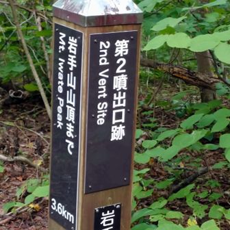上りのときに後回しにした第2噴出口跡へ。遠いのかな？登りかな?と。YAMAPのマップに乗ってないので。恐る恐る➡️