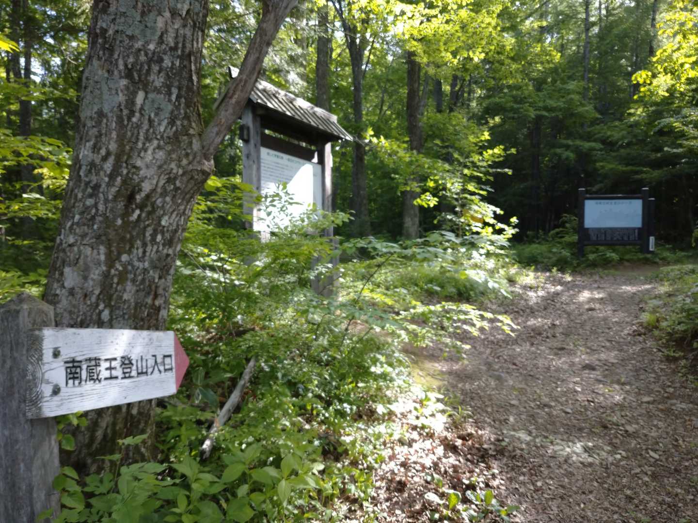 不忘山 往復コースの写真