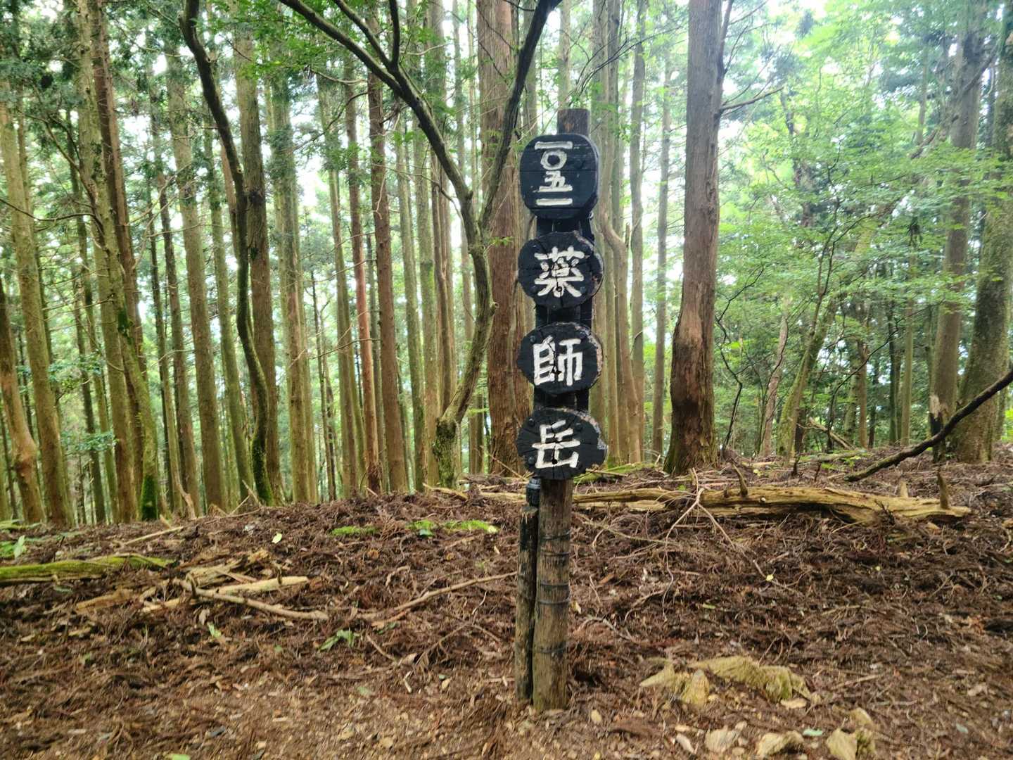 薬師岳