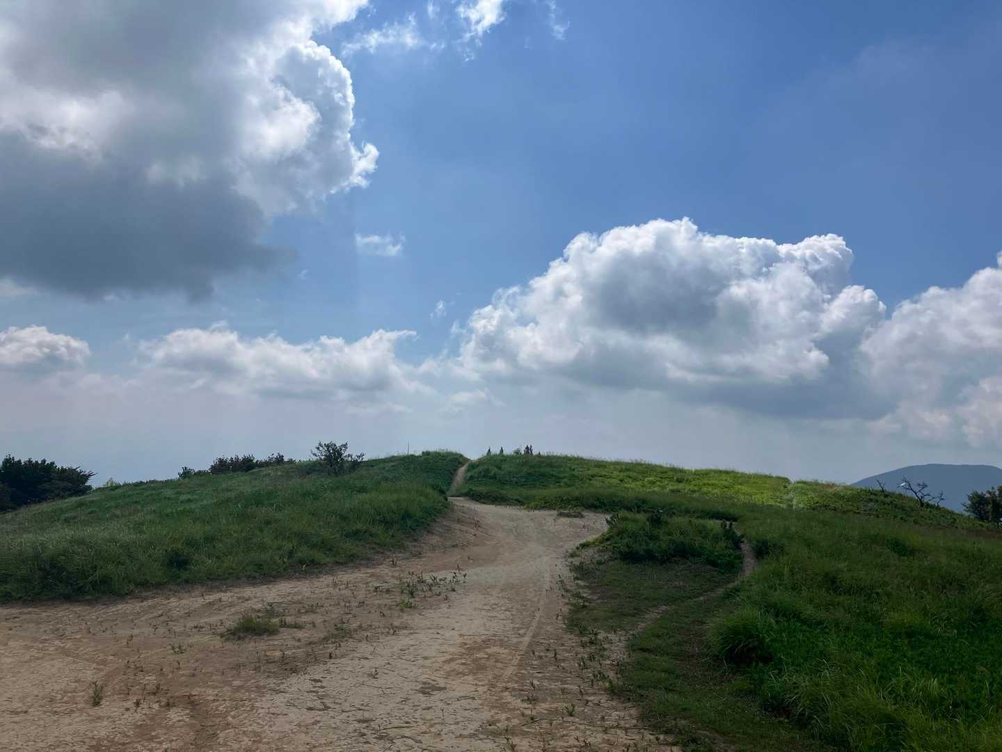 秋は、ススキ🌾
夏も緑が綺麗です😍