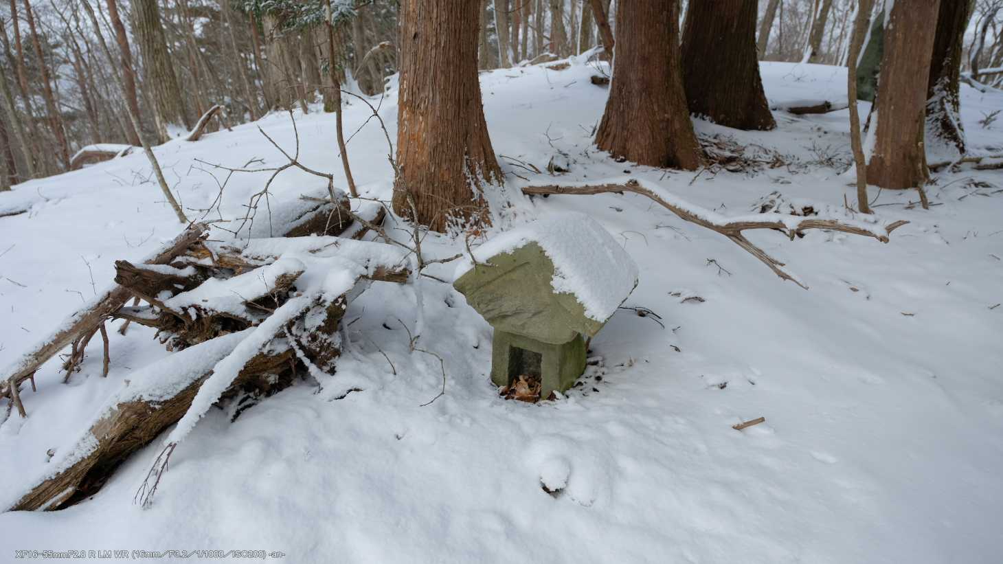 祠があったり、