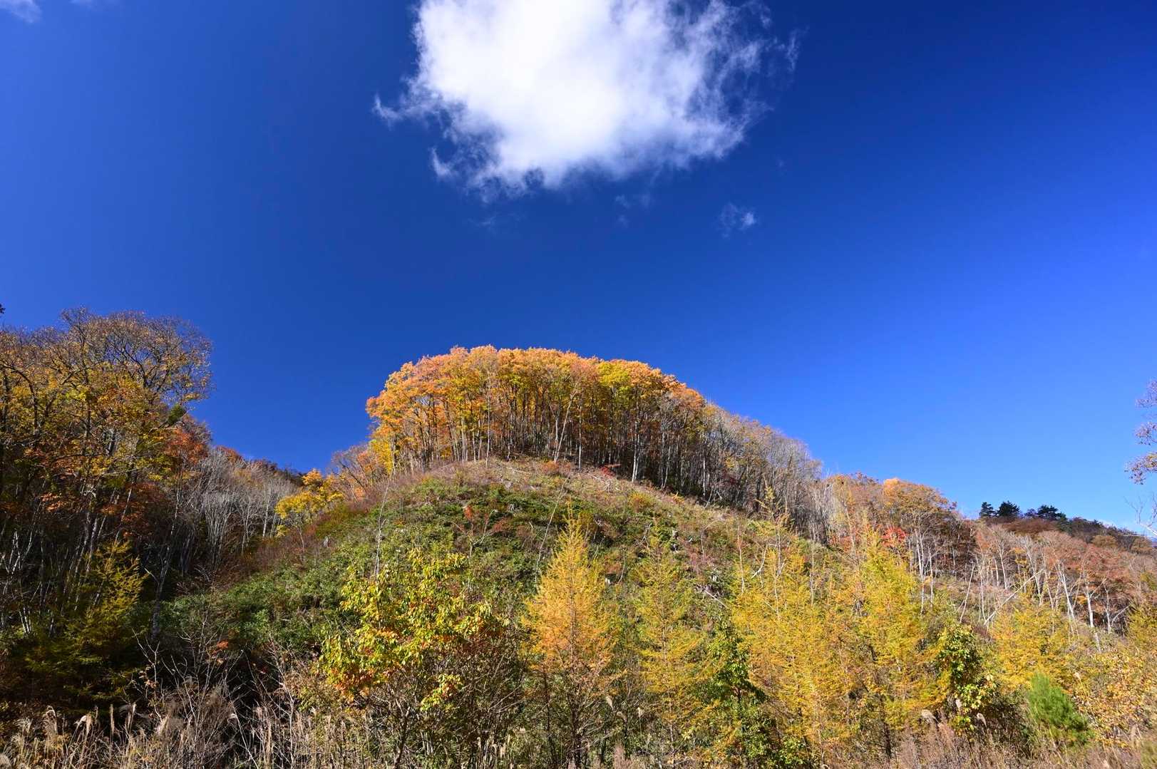 猪臥山散策道入口-猪臥山 周回コースの写真
