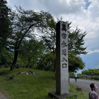 お団子で腹ごしらえして、いざ奥宮へ！