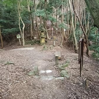 峠…ここが標高が一番低いところです
ここから先は…かなりの急登やん🥵
地形図通りやん…