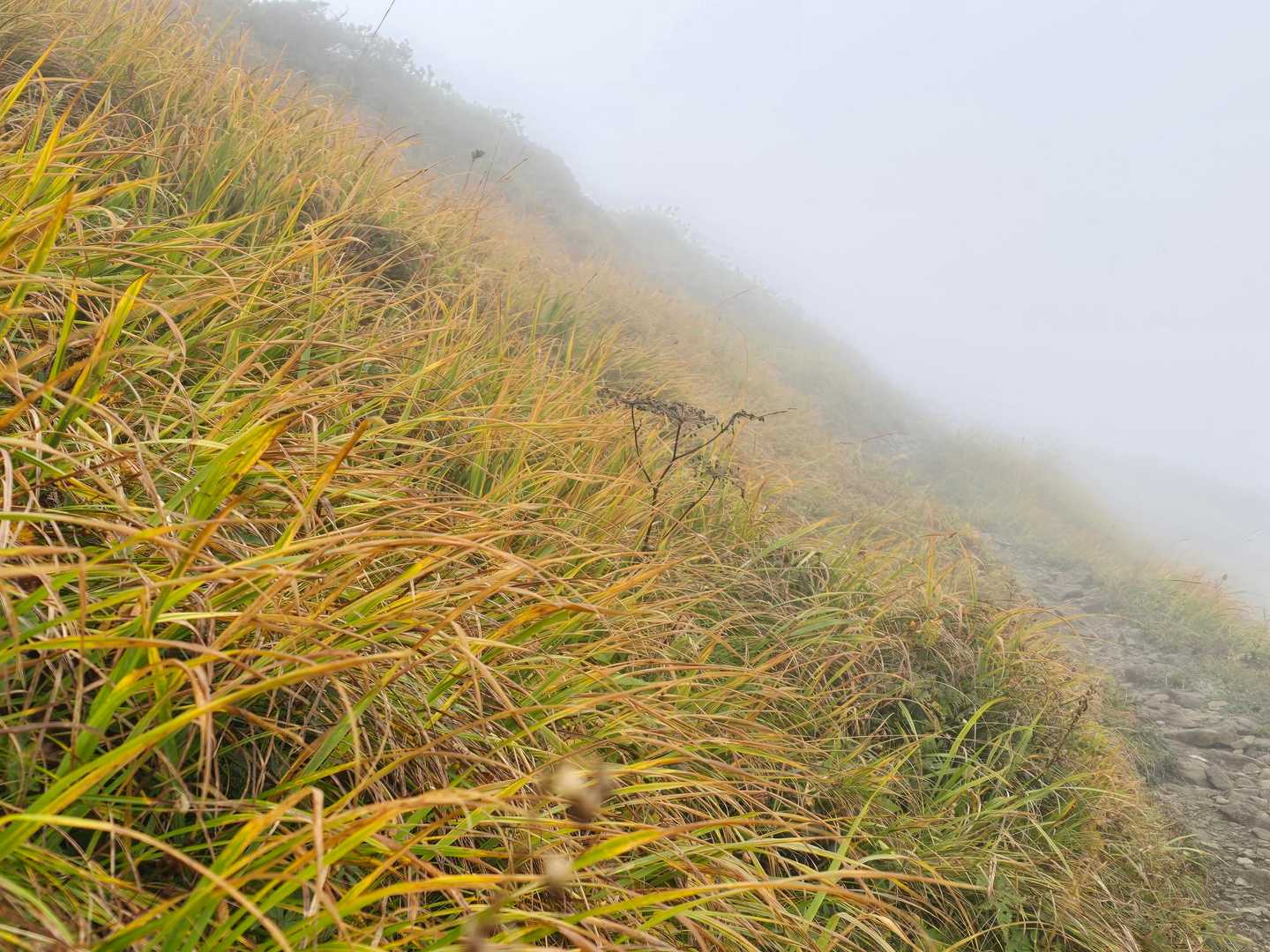 白毛門登山口-松ノ木沢ノ頭-白毛門-笠ヶ岳-大烏帽子-朝日 往復コースの写真