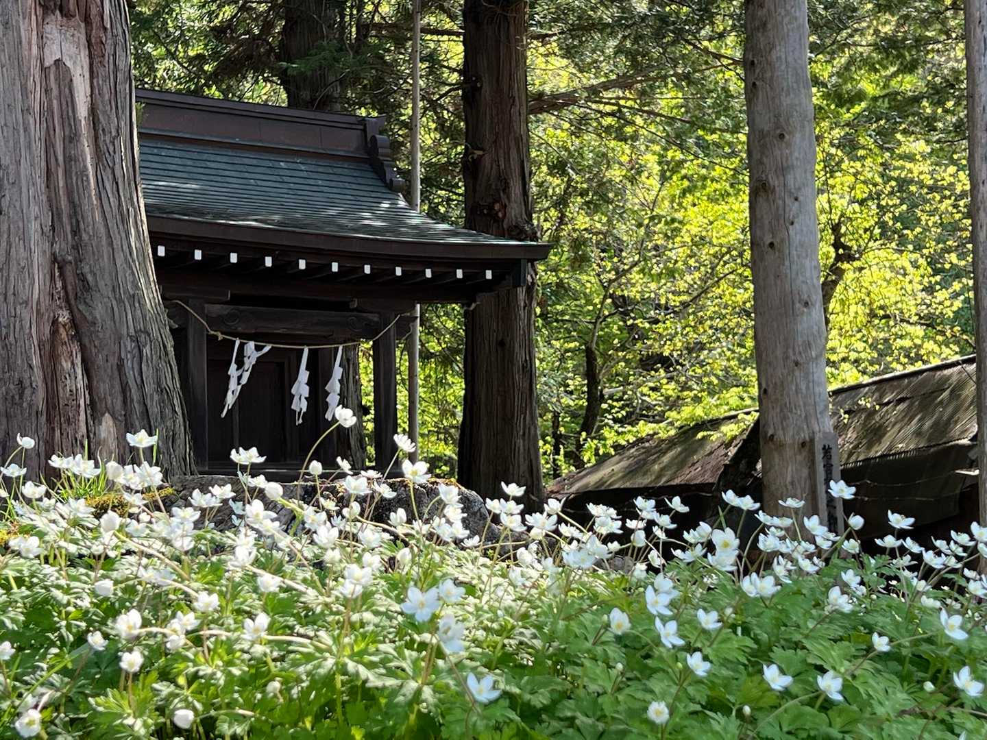 若宮八幡様へ
ご挨拶