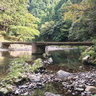 次に保津峡から堂承川に移り愛宕山の登山口を目指しましたが…ﾁﾔﾘは分岐付近からﾎﾟﾀﾘﾝｸﾞが無理っぽいので途中ﾃﾞﾎﾟして👣😅　ここは本日2つ目の沈下橋〜😚