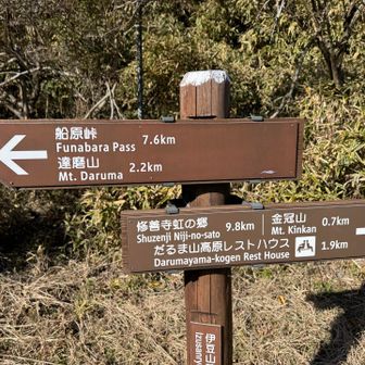 金冠山までは0.7km
達磨山までは2.2km

せっかくだから金冠山登りたい