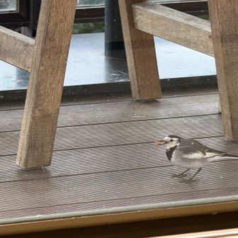 なんか食べてるわ😊