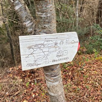 ９号目駐車場🅿️から 奥作礼へ