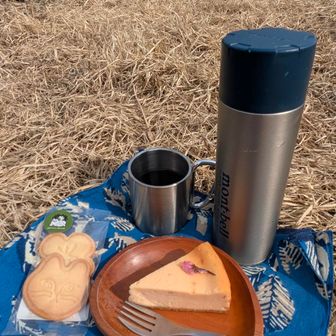 先ほど購入した桜のベイクドチーズケーキとサブレ💕