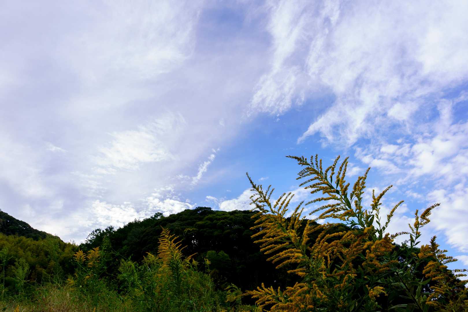 青空は見えてるけど風が強い、久しぶりの山歩きはドキドキだなぁ　