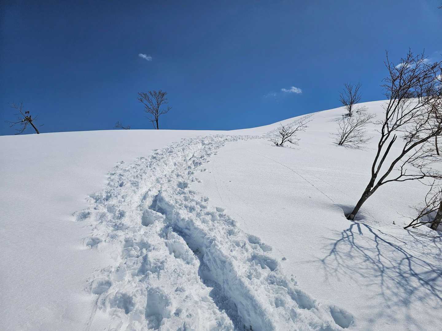白と青のコントラストが気持ちいい